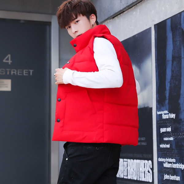 Мъжки елек в два модела и в няколко цвята