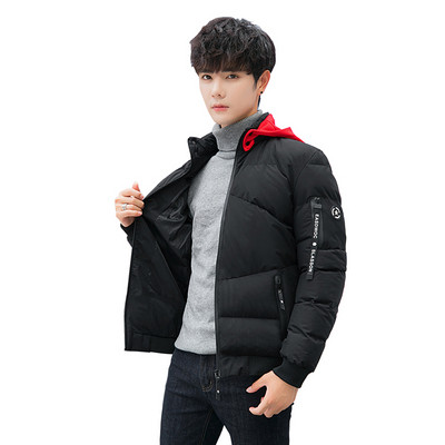 Плътно мъжко зимно яке с качулка в три цвята 