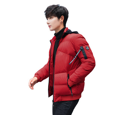 Плътно мъжко зимно яке с качулка в три цвята 