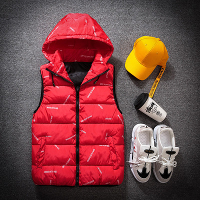 Мъжки зимен елек в светли и тъмни цветове с надпис