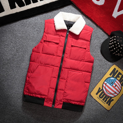 Мъжки елек с яка в няколко цвята - два модела