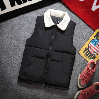 Мъжки елек с яка в няколко цвята - два модела