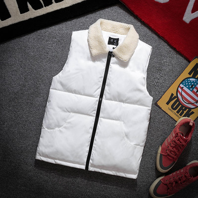 Мъжки елек с яка в няколко цвята - два модела