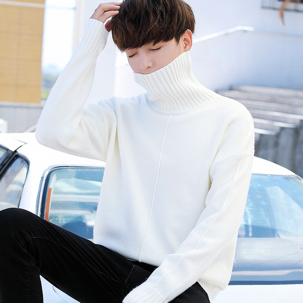 Pulover casual barbatesc cu guler inalt in diferite culori