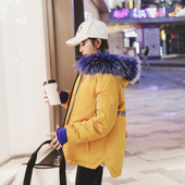 NOU jachetă modernă de damă cu inscripție pe spate și glugă - patru culori