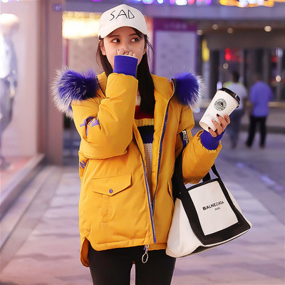 NOU jachetă modernă de damă cu inscripție pe spate și glugă - patru culori