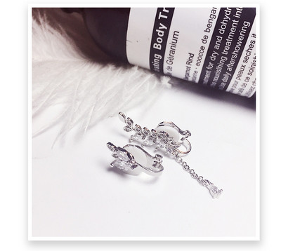 HIT Κομψά γυναικεία σκουλαρίκια με ασημένιο μενταγιόν