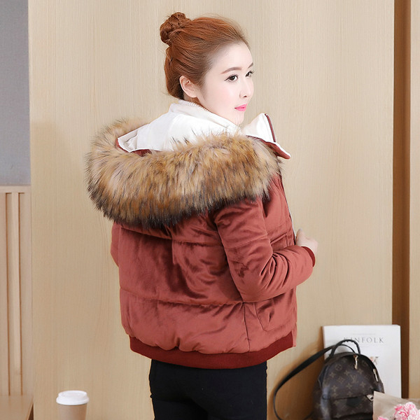 Stílusos női kabát kapucnival több színben