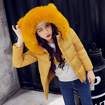 Κομψό γυναικείο μπουφάν σε μερικά χρώματα