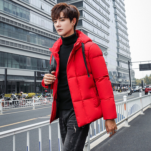 Modern férfi kabát magas gallérral több színben