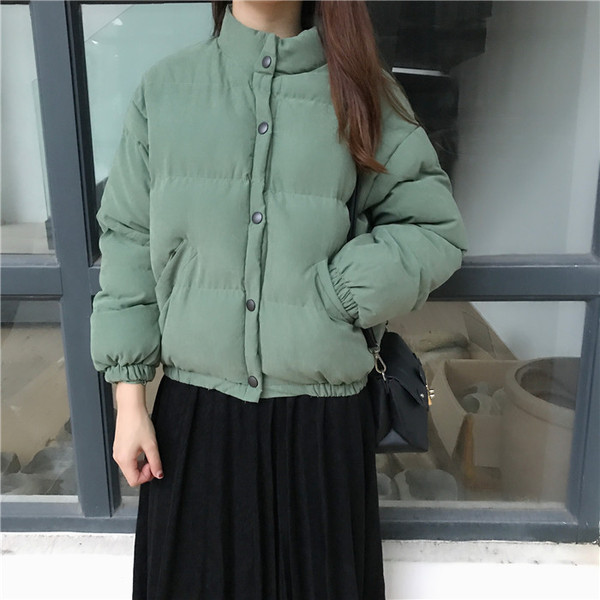 Ежедневно дамско зимно яке с висока яка в няколко цвята