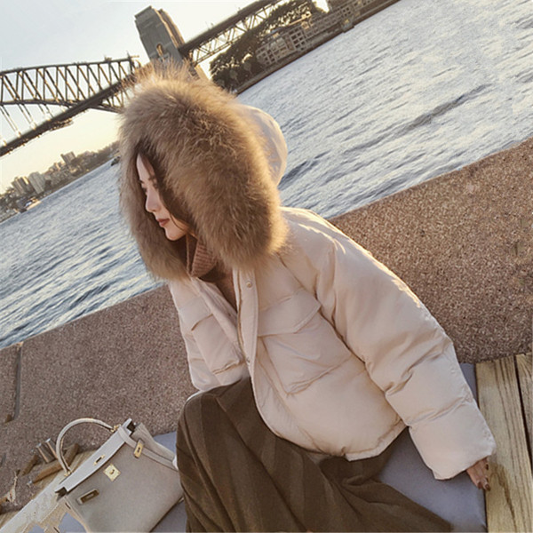 Дамско стилно яке с пух на качулката в няколко цвята