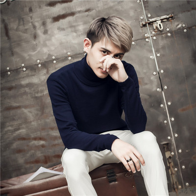 Stílusos férfi pulóver különböző színekben