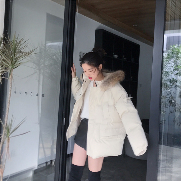 Modern női kabát kapucnival öt színben