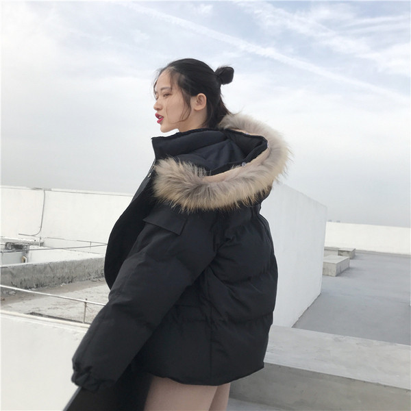 Modern női kabát kapucnival öt színben