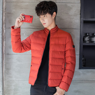 Мъжко яке за есента и зимата в три цвята