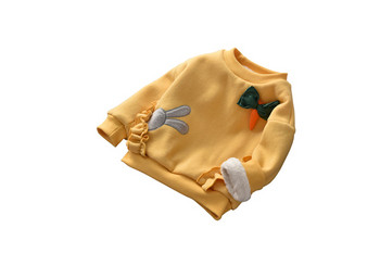 Καθημερινή παιδική μπλούζα με μαλακή επένδυση και τρισδιάστατο στοιχείο σε δύο χρώματα
