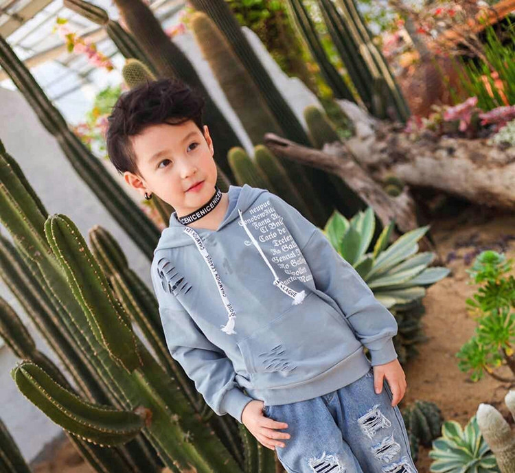 Παιδική μπλούζα για αγόρια με επιγραφές και κουκούλα σε διάφορα χρώματα