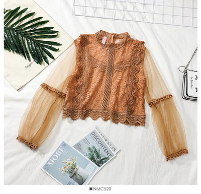 Γυναικεία μπλούζα με δαντέλα με διαφανή μανίκια