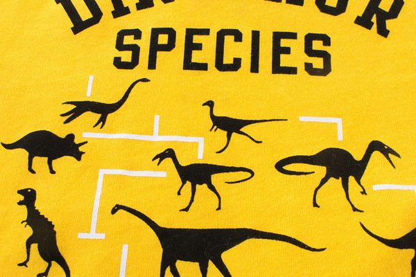 Καθημερινή μπλούζα με κοντό μανίκι για αγόρια σε δύο χρώματα