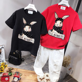 Naprakész női póló színfelvitel négy színben