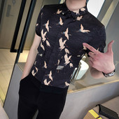 Új modell férfi tavaszi ing rövid ujjú és jobb két színben