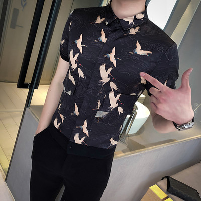 Új modell férfi tavaszi ing rövid ujjú és jobb két színben