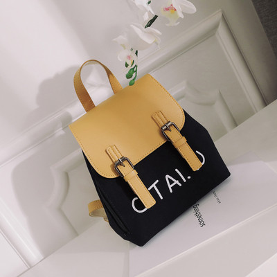 Rucsac modern de dama in mai multe culori