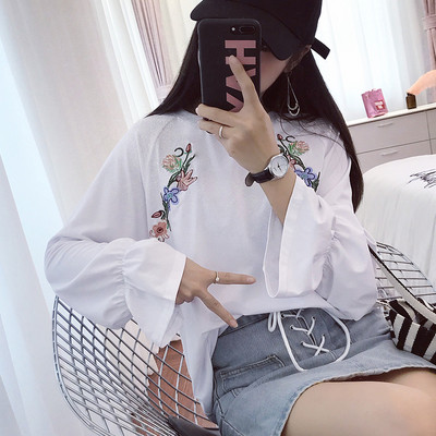 Κομψή μπλούζα με μακριά μανίκια και κεντήματα σε διάφορα χρώματα