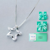 Κυρίες κομψό κολιέ με ασημένιες πέτρες