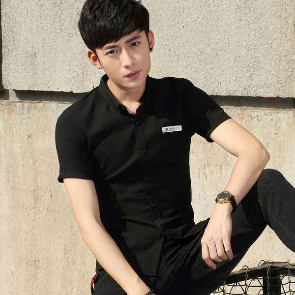 Modern férfi ing emblémával és rövid ujjú, két színben