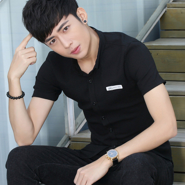 Modern férfi ing emblémával és rövid ujjú, két színben