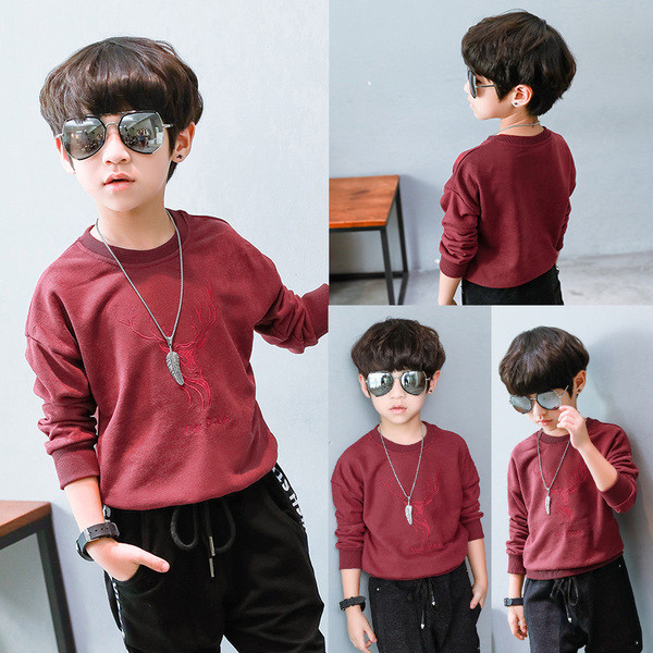 Bluza moderna pentru baieti pentru copii cu broderie