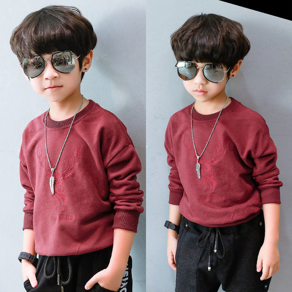 Bluza moderna pentru baieti pentru copii cu broderie