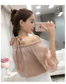 Jelenlegi női blúz két színben - kék és rózsaszín