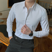 Sima modell stílusos férfi ing több színben