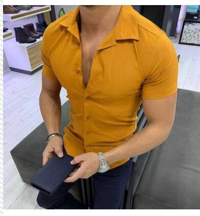 Sima modell férfi ing rövid ujjal, különböző színekben