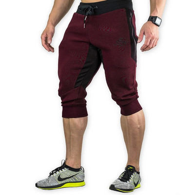 Мъжки къси панталони в няколко цвята с бродерия