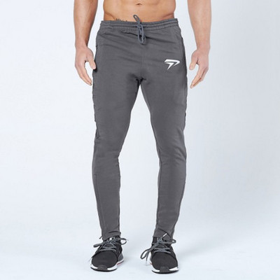 Мъжки спортен панталон в три цвята с апликация