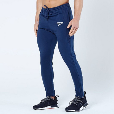 Мъжки спортен панталон в три цвята с апликация