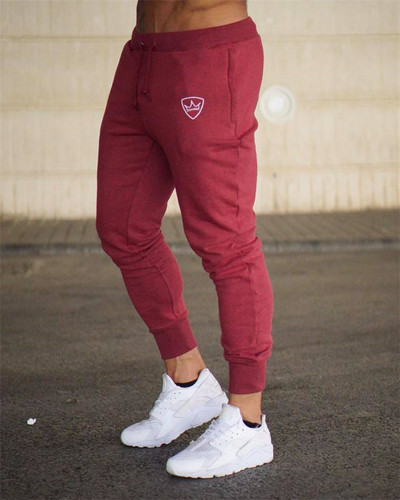 Модерен мъжки спортен панталон в четири цвята с апликация 