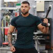 Alkalmi férfi póló három színben - letisztult modell