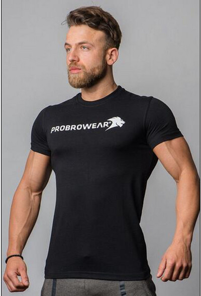 Férfi sportpóló három színben felirattal