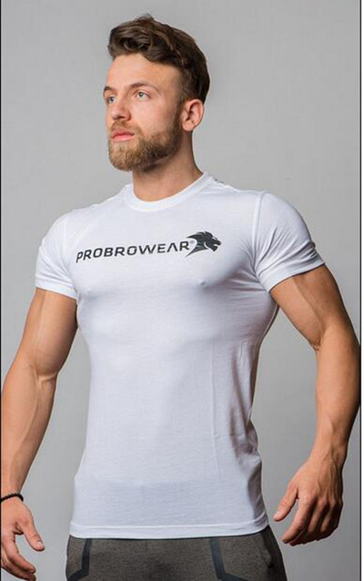 Férfi sportpóló három színben felirattal