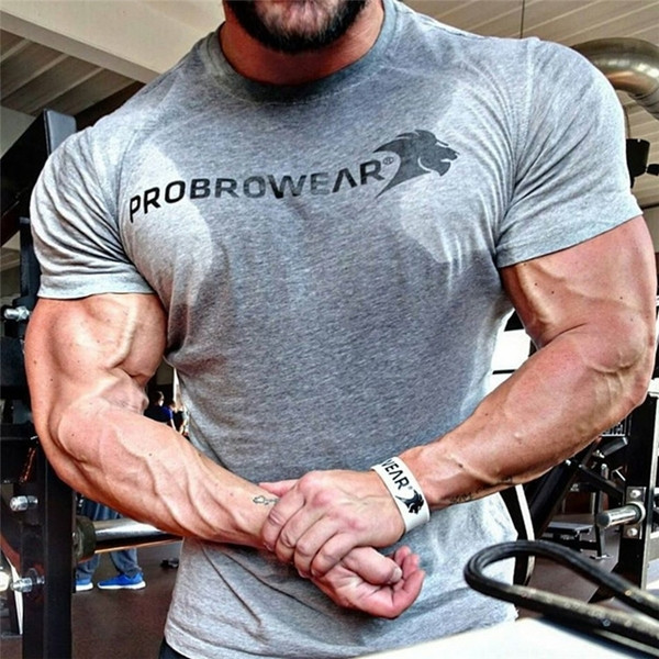 Férfi sportpóló három színben felirattal