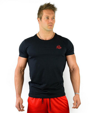 Αθλητικό ανδρικό μπλουζάκι σε τρία χρώματα με εφαρμογή