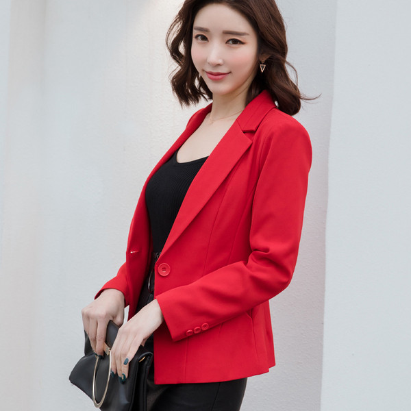 Stílusos női kabát hosszú ujjal több színben