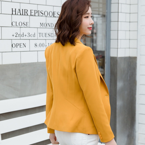 Stílusos női kabát hosszú ujjal több színben