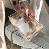 Geanta de dama moderna transparenta in forma dreptunghiulara cu un lant lung metalic