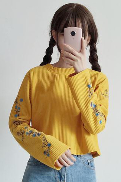 Σύντομο πουλόβερ κυρίες με στυλ με κεντήματα στα μανίκια